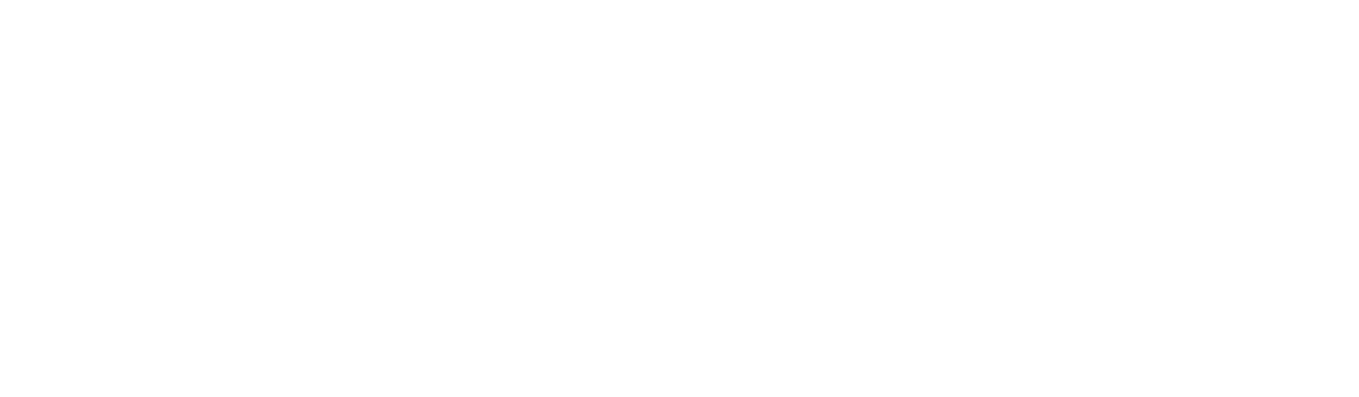 AMEX Logo