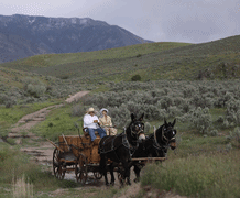 Covered Wagon