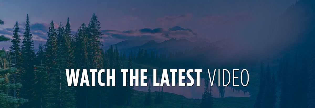 Watch the Latest Webinar