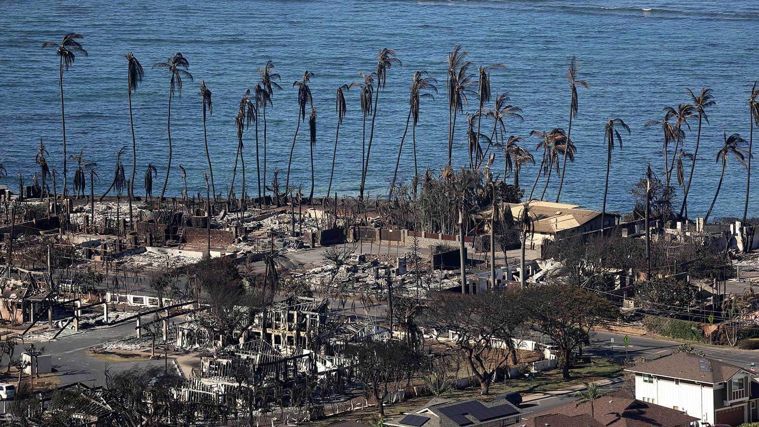 Hawaii wildfire damage with beach and burnt palm trees