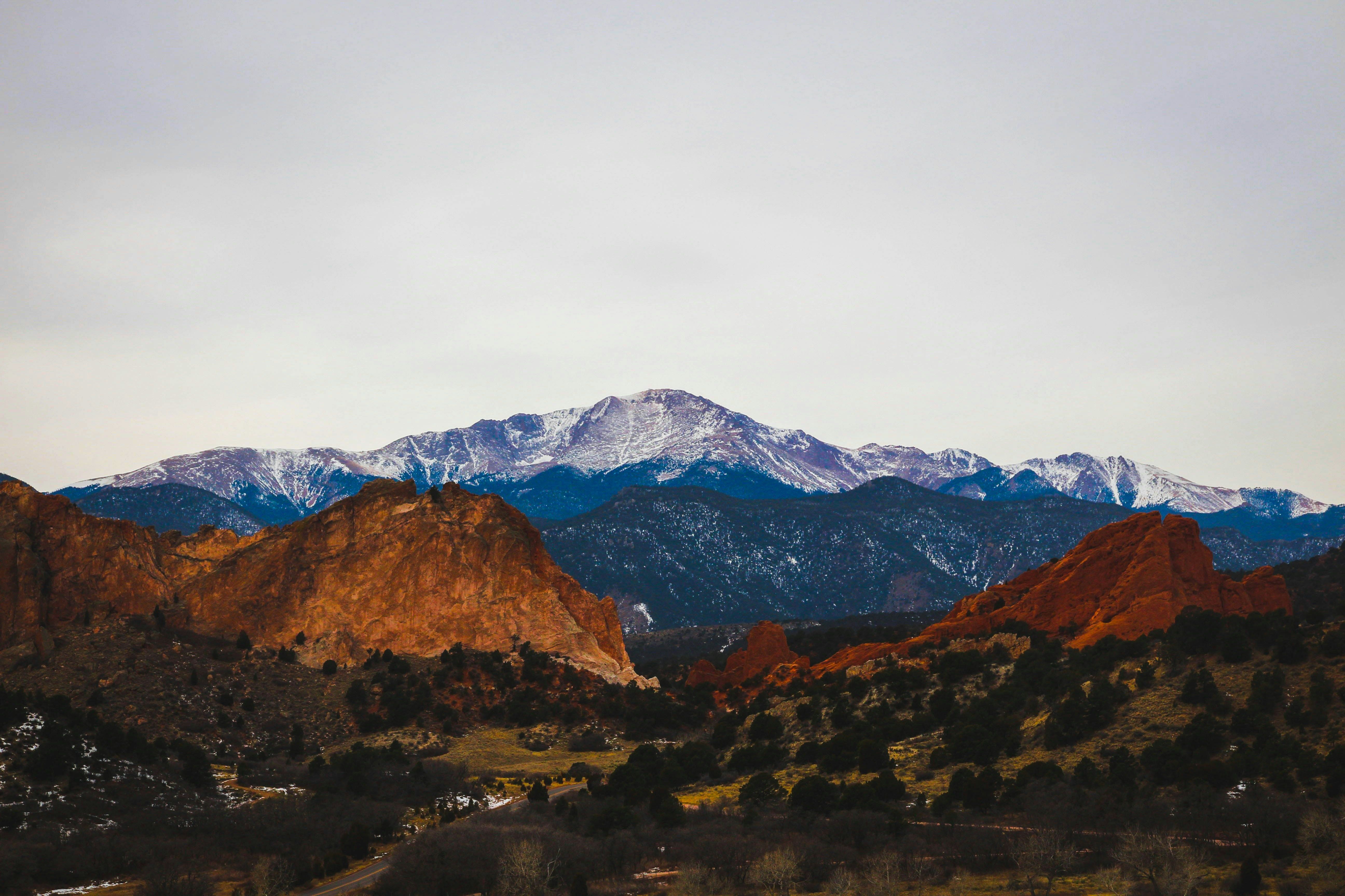 CSprings