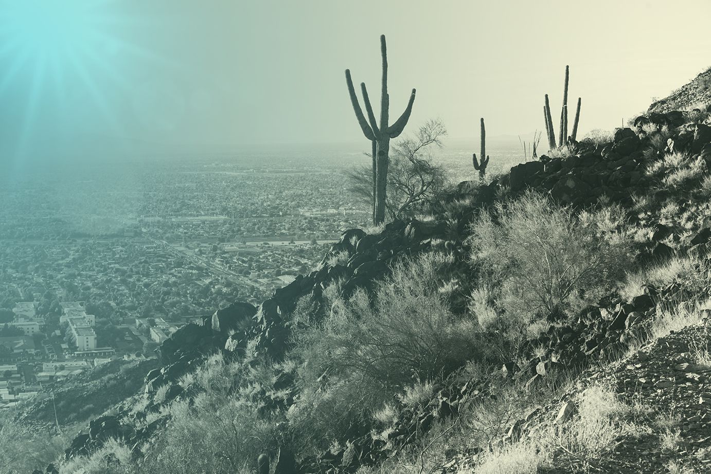 Phoenix AZ