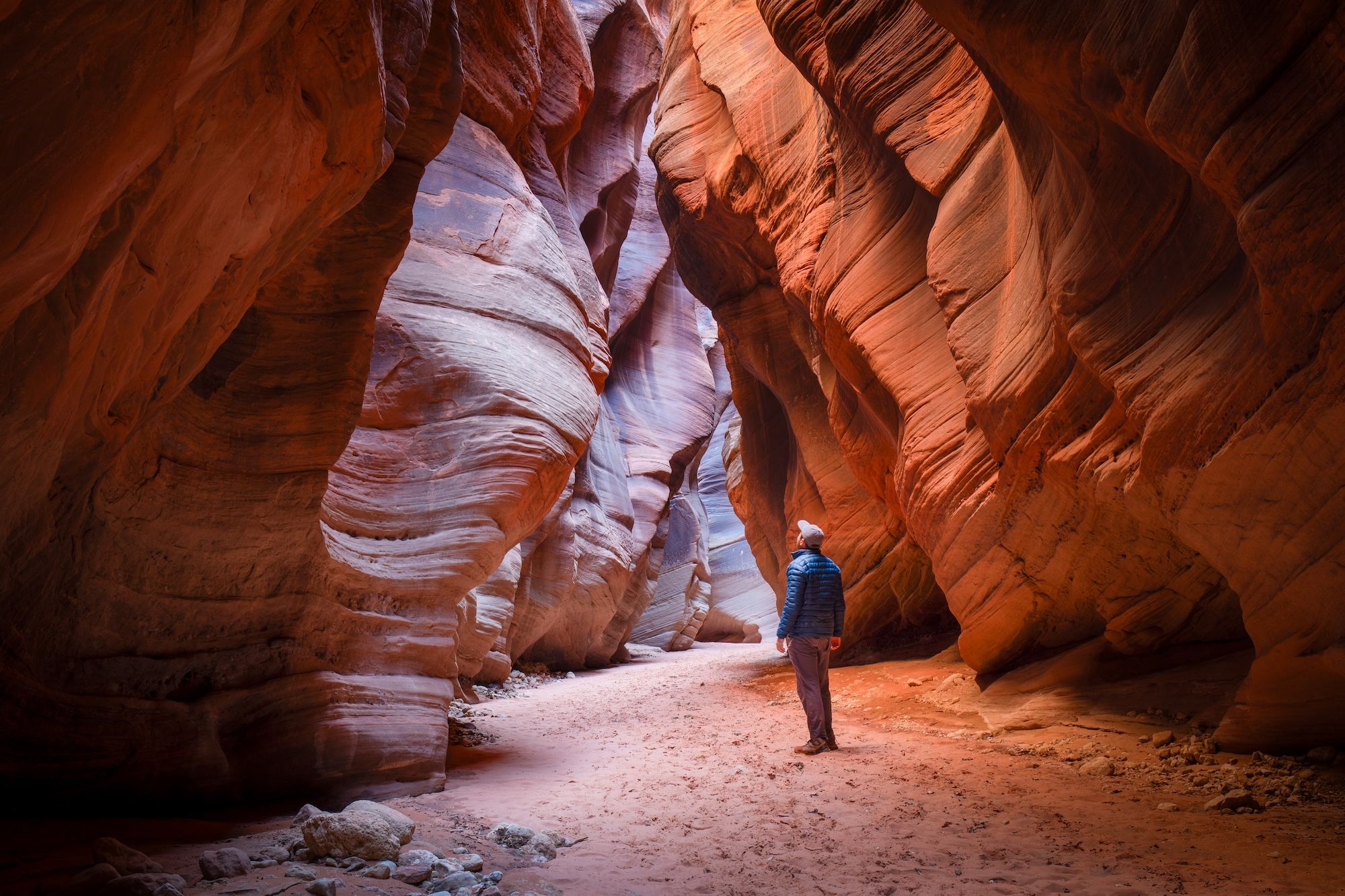 A hiker looks up above him in a U.S. national park